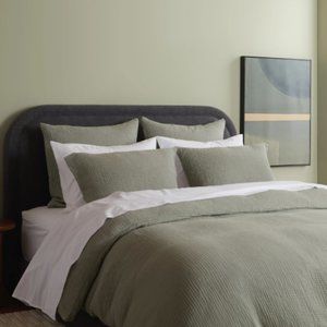 parachute cloud cotton euro shams in moss 🌱 set of 2